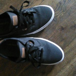 Vans sneakers